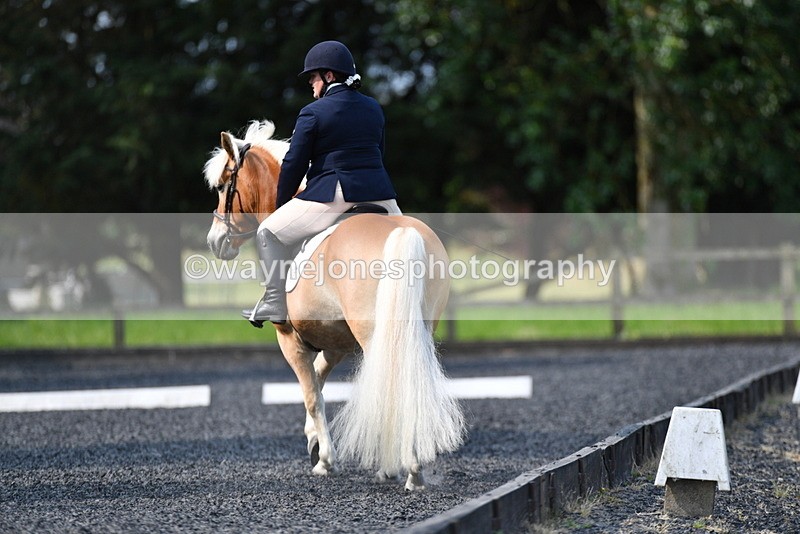 WJ5_8892 - Time 09:34 to 09:57