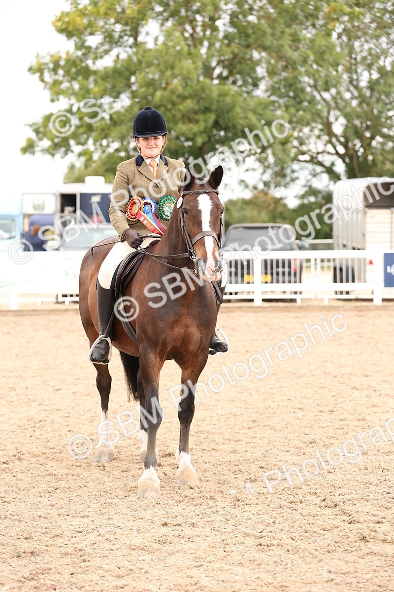 SBM_19599 - Class 215 - Ridden Show cob