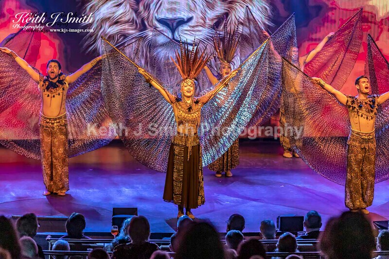 6KJS0391 - Ambition show team