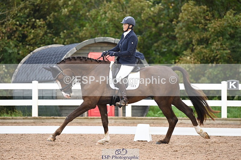 230912A-101910-00306 - Cls 5 Novice 39