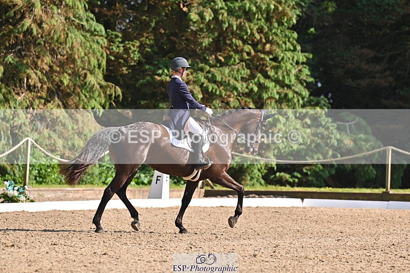 250523A-163849-08121 - B-379-Kelli.Frewin-HIDDEN.GOLD