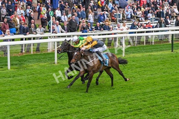 150524-Race 6-Shadow Army-4580 - Race 6 4.45pm British Stallion Studs EBF Novice Stakes