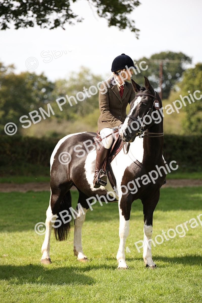 SBM_70103 - S65 - Piebald & Skewbald Horse Ridden