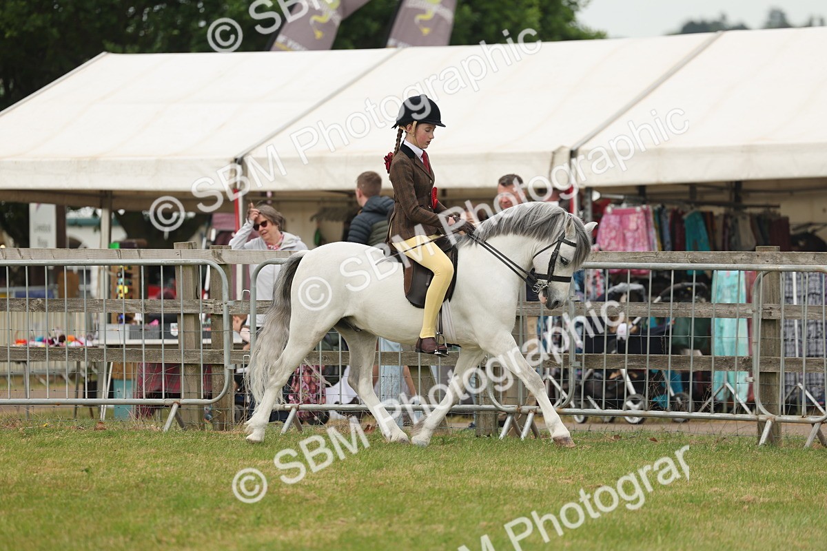 SBM_09100 - Class 78-80 - Ridden M&M Non Welsh Ponies