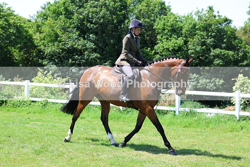 3E7A7503 - Class 31: Working Hunter Cob/Riding Horse