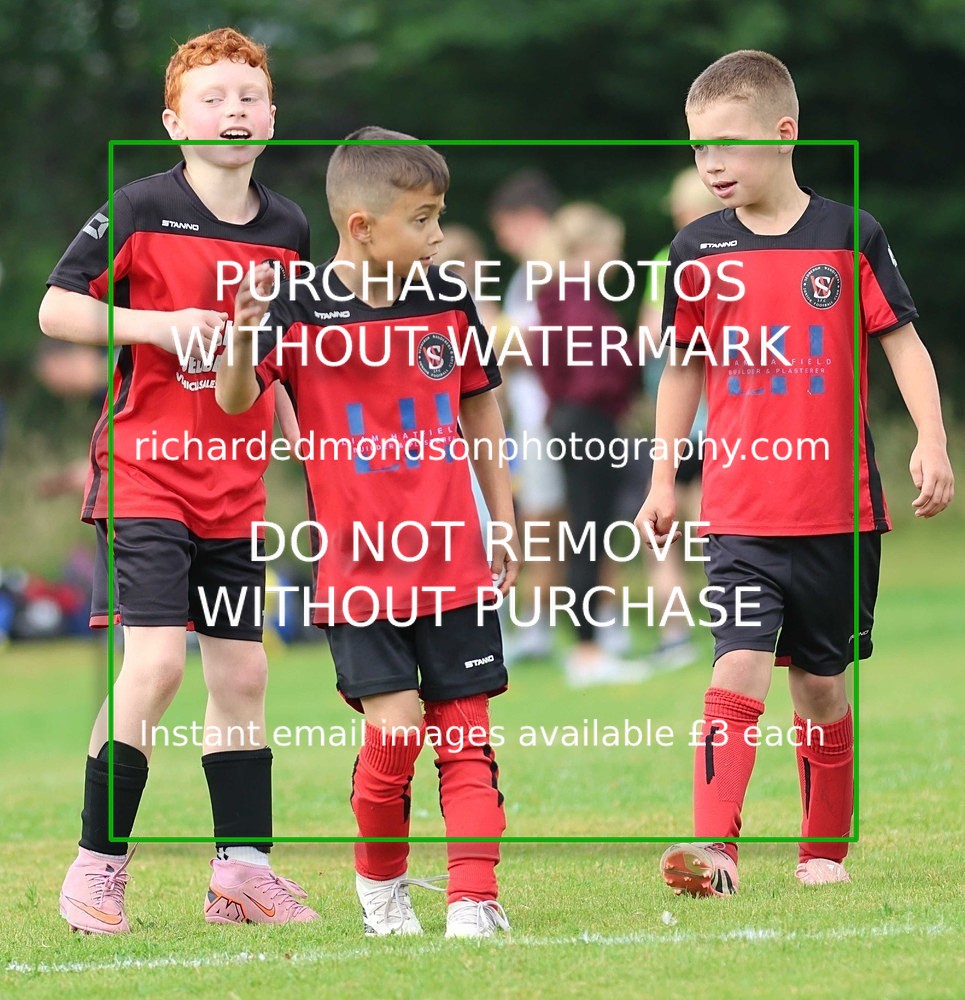 533A3044 - Sedbergh Wanderers (morning Ibis)