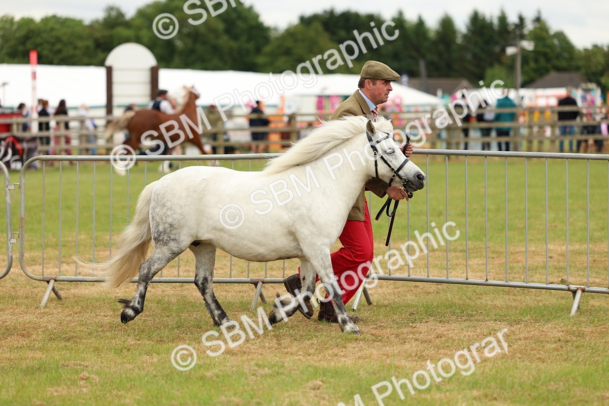 SBM_03511 - Class 58-67 - M&M Non Welsh Pony In hand