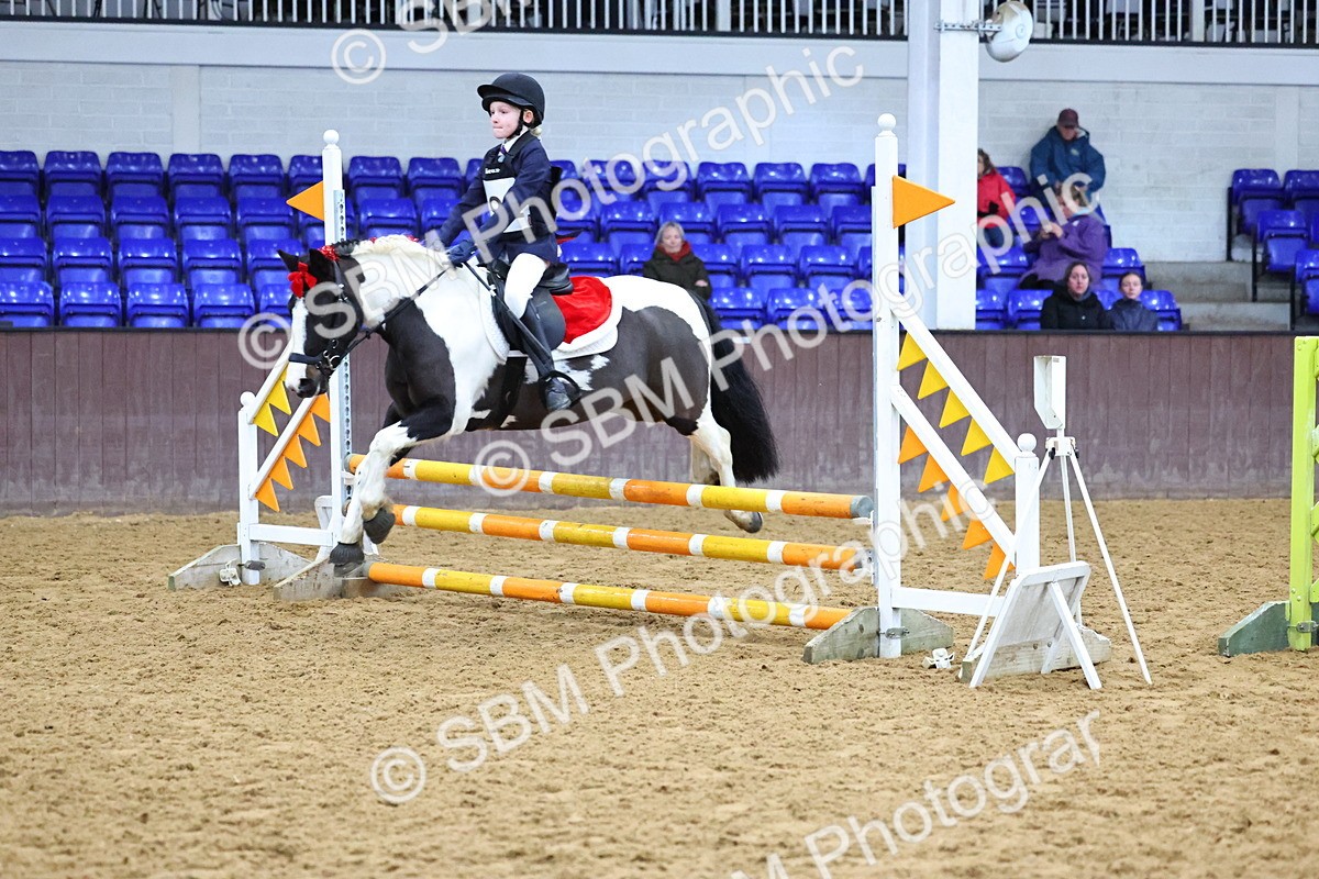 SBM_001304 - Class 3 - Christmas Tree Stakes - 60cm