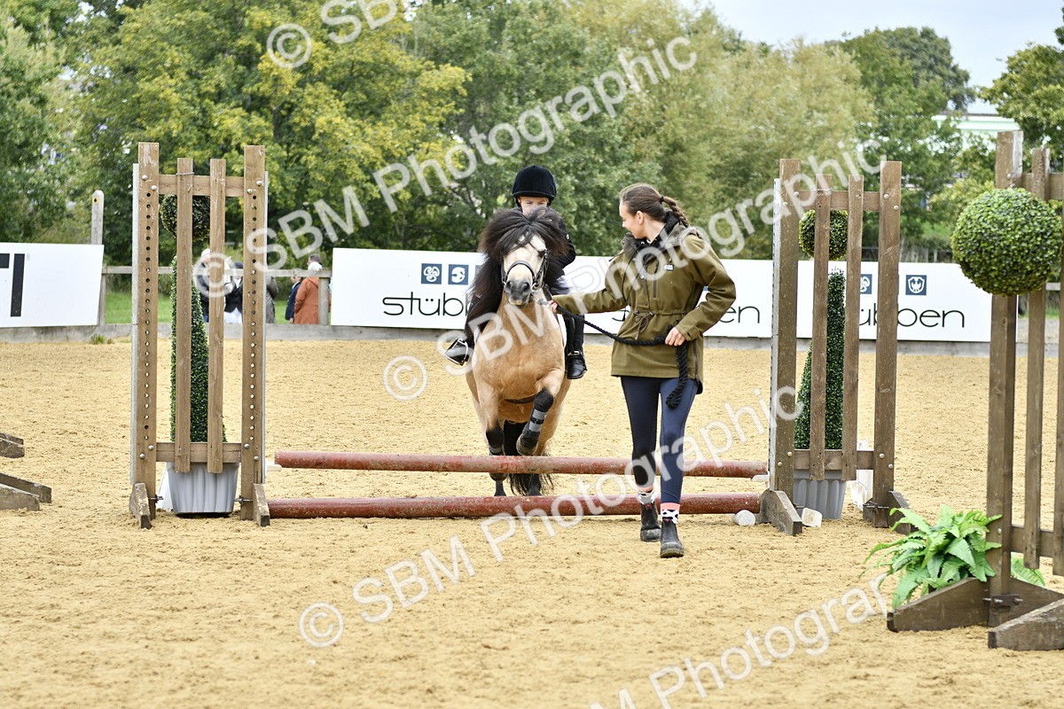 SBM_63466 - J1 - Mini Tour Junior Pony Lead Rein 30cm Championship
