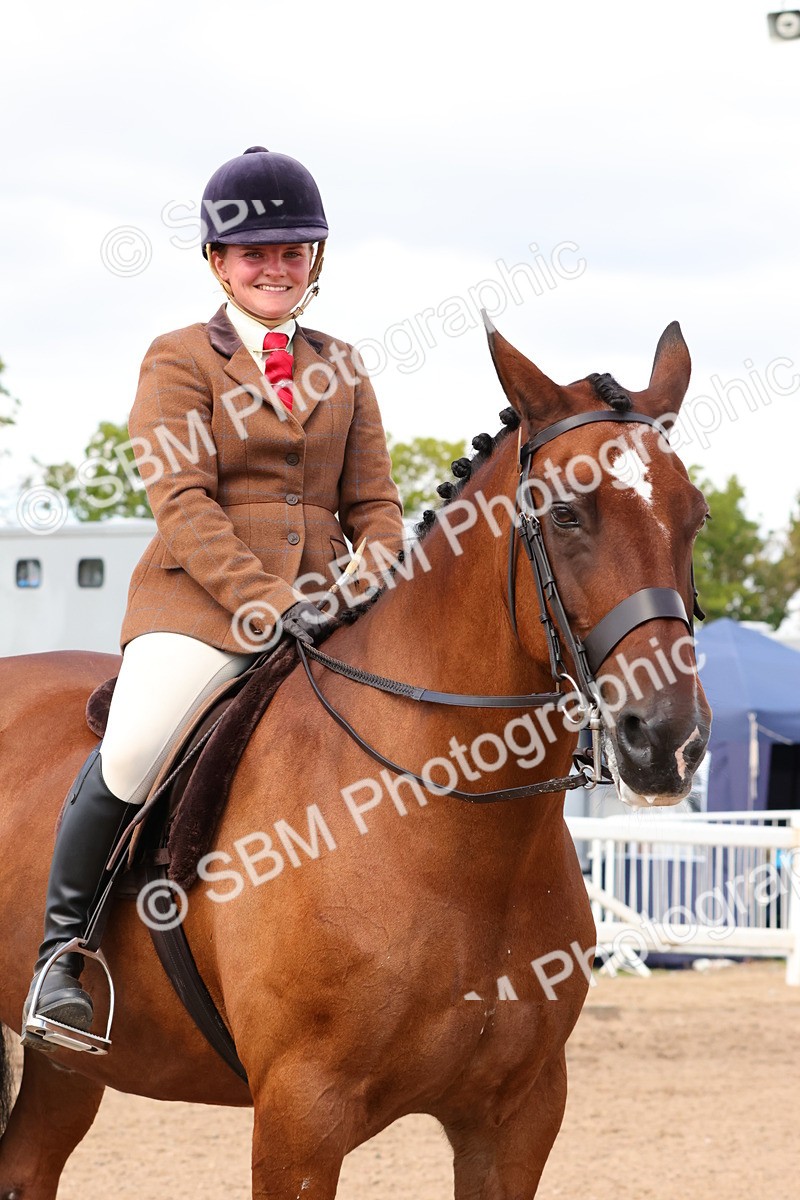 SBM_13548 - Class 212 - Ridden Hunter  - Large