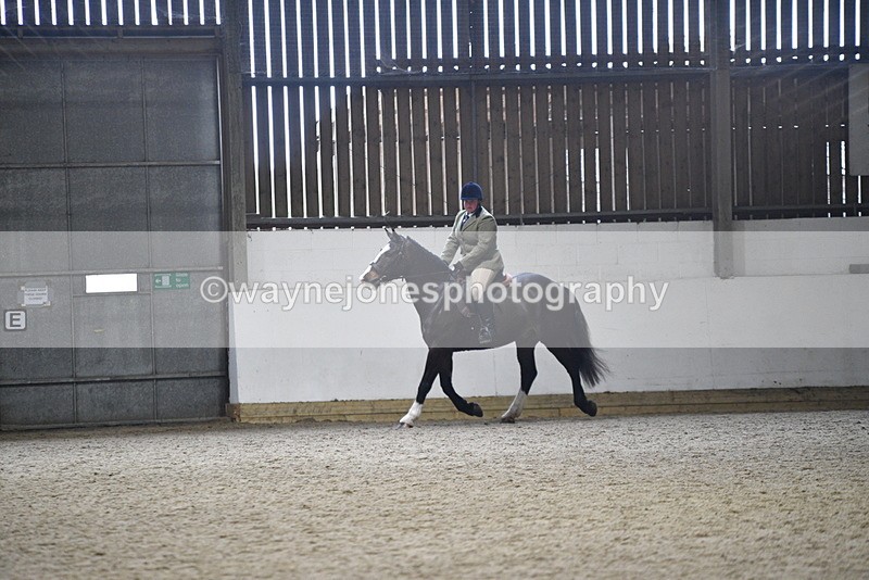 WJ5_8252 - Class 14 Novice Ridden/Rider