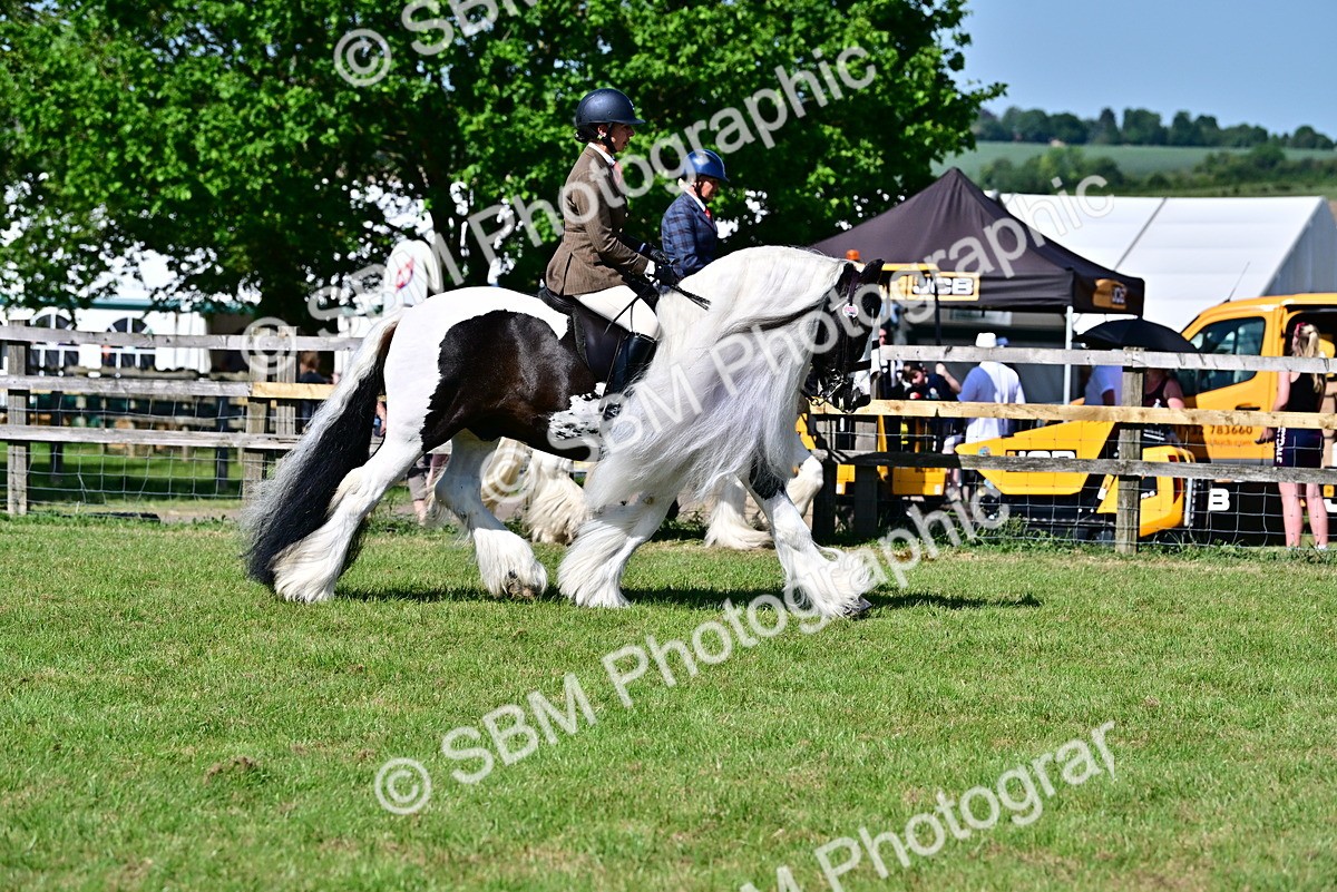 SBM_19353 - Class 101-102 - BSPS LIHS Performance Coloured Horse/Pony