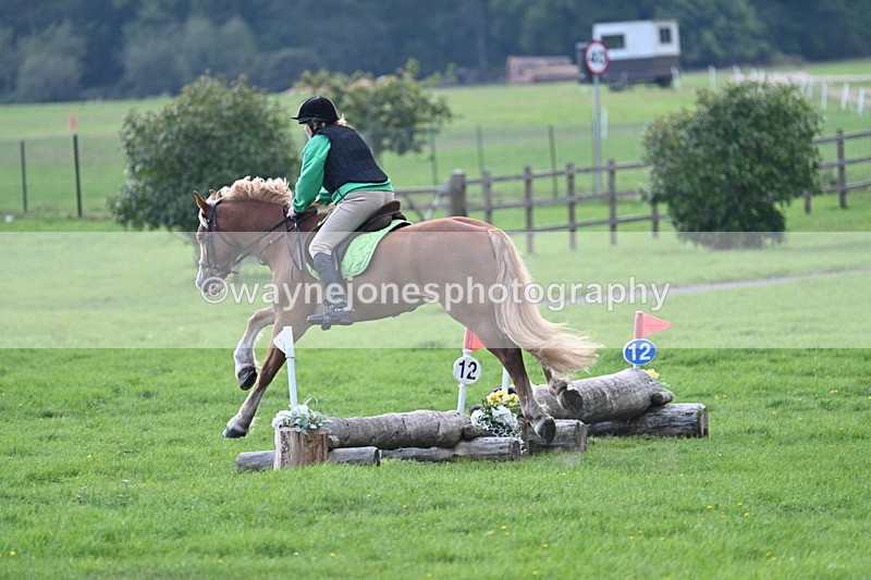 WJ7_3537 - 40cm Time 10:08 to 10:25