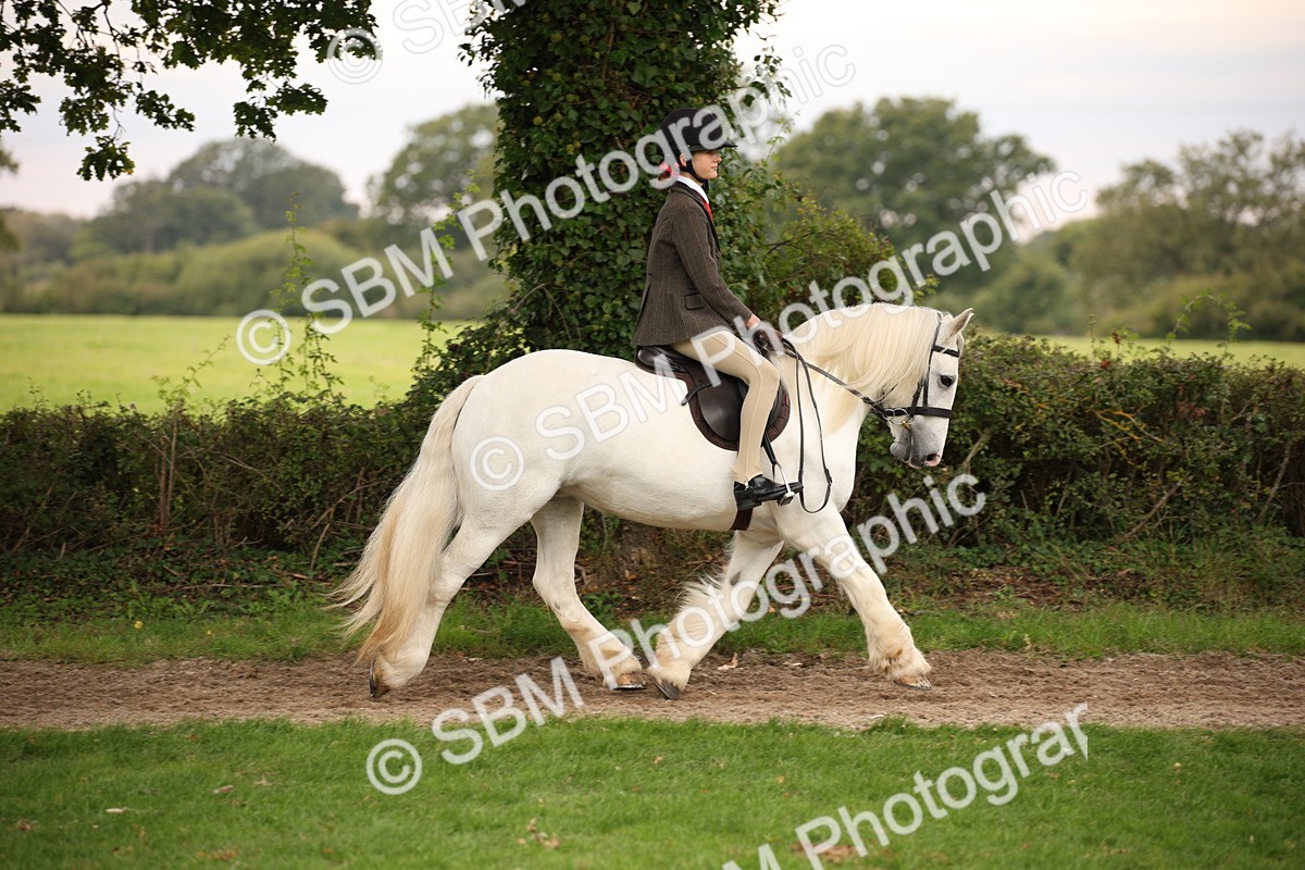 SBM_73432 - S68 - Traditional Cob Ridden