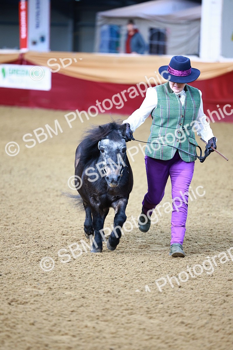 SBM_21675 - Class 901 - Supreme Final - IH  Diamond