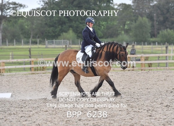 BPP_6238 - ELEMENTARY TEST 4 LONG ARENA