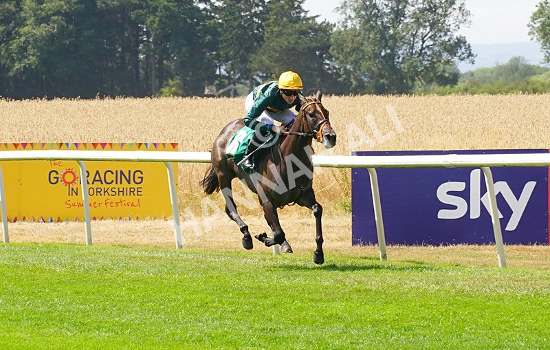 240726-Race 1-Martinet-00948 - Race 1 14.00pm Sky Bet Go-Racing-In-Yorkshire Summer Festival EBF Fillies' Novice Stakes