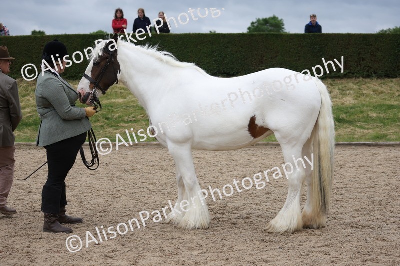 20250524-0778 - Class 7 - Veteran