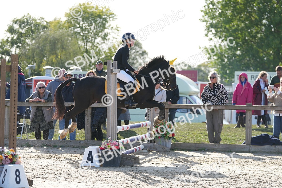 SBM_49384 - J8 - Junior Pony 65cm Championship