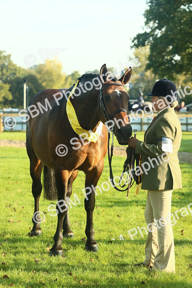 SBM_56756 - S36 - Starters Best Turnout