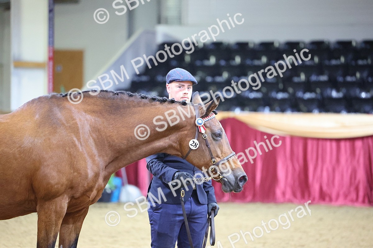 SBM_19649 - Class 901 - Supreme Final - IH Diamond