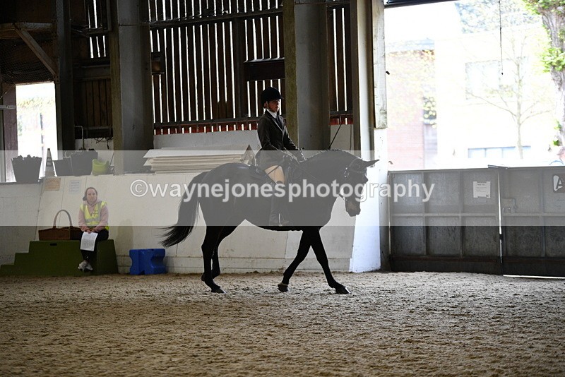 WJ5_6197 - Class 9 Ridden Veteran