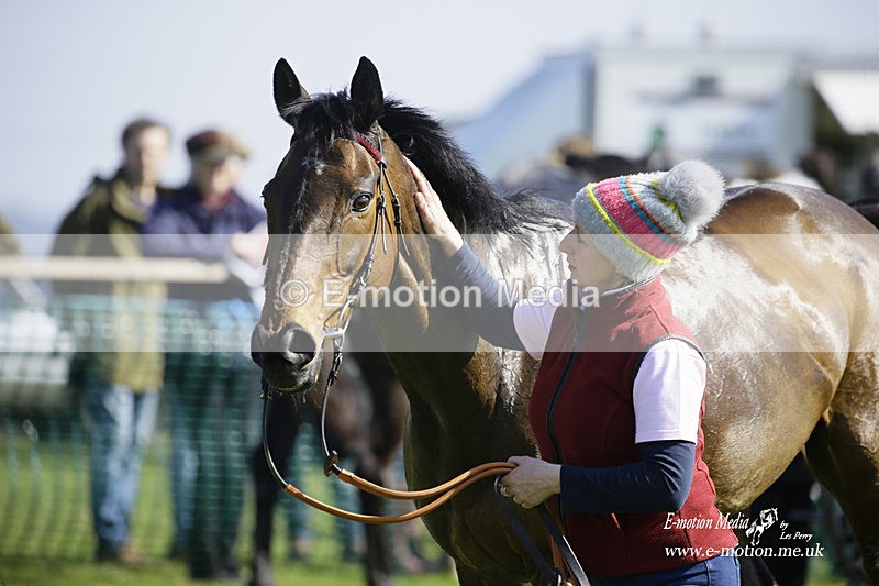 PtP 190322 428 - Wilton Hunt PtP Milborne St Andrew 19/03/22