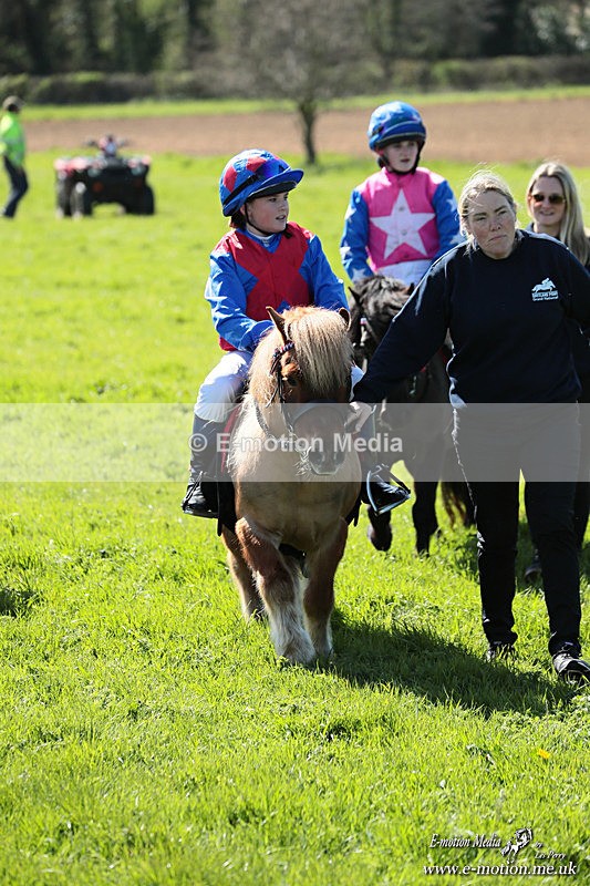 Shet 060426 348 - Shetland Pony Racing Paxford Races Easter Mon 06/04/26