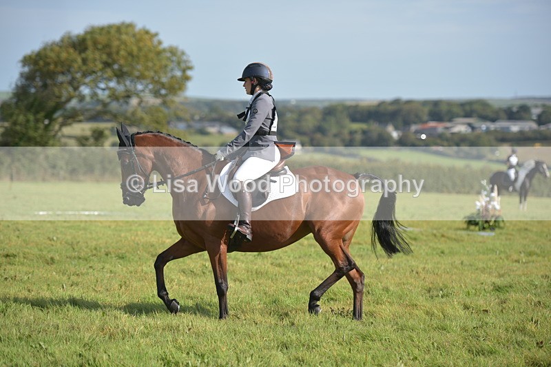 RAY_7546 - Class 2B: Trekenning Open: Dressage