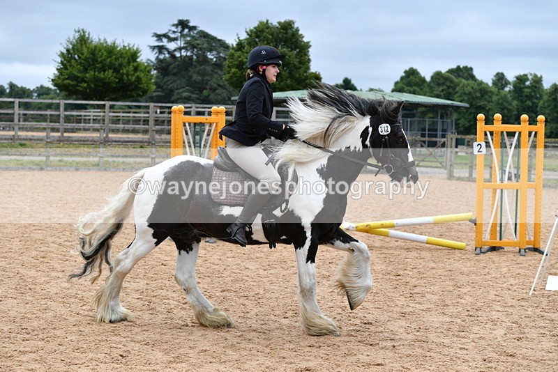 WJ5_6095 - Club 50cm