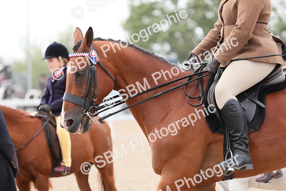 SBM_16877 - Class 314 Family Horse/Pony