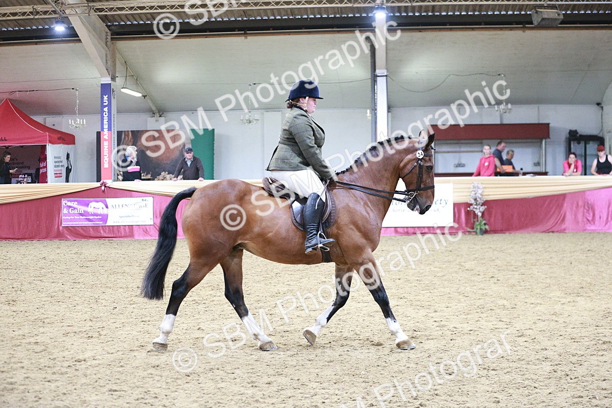 SBM_08207 - Class 11R - Regional Ridden Veteran