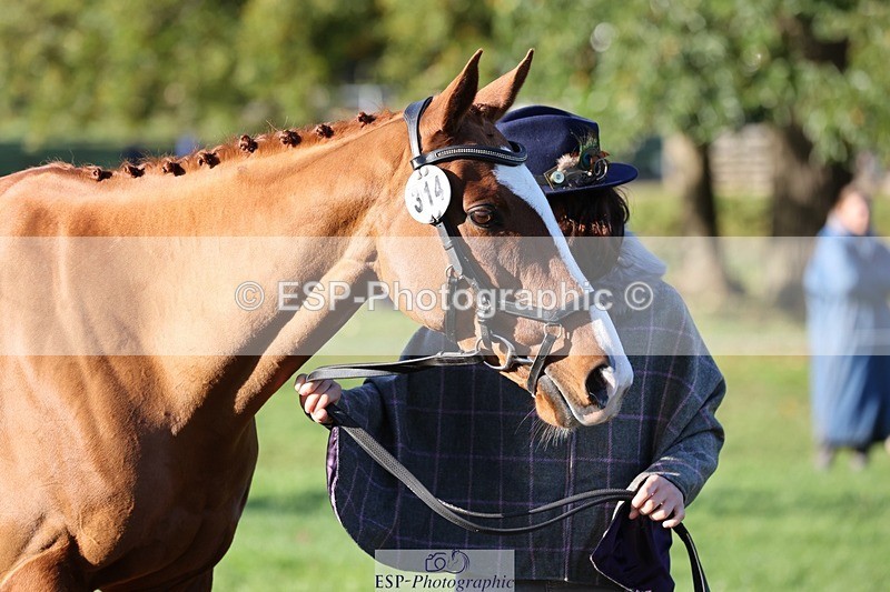 241027-091113-15095 - 314-Beth.Jones-FANTASY.CHILLI.(GB)