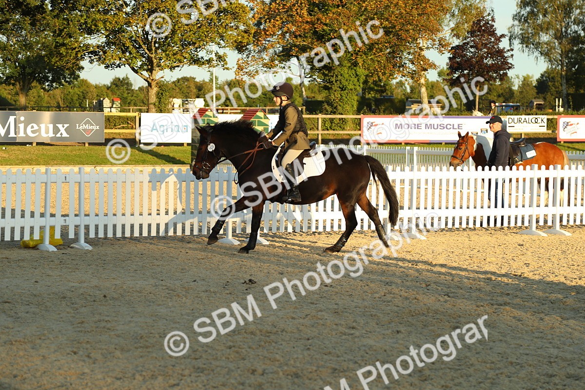 SBM_53963 - J8 - Junior Pony 65cm Championship