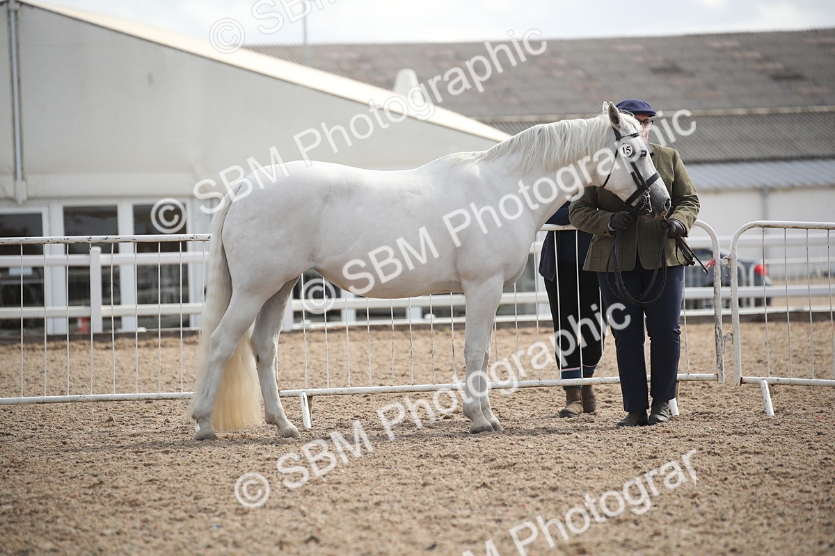 SBM_23078 - Class 606 - 2026 - Area - IH Pre Vet