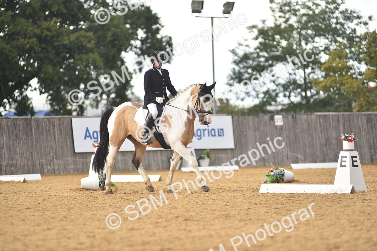 SBM_29637 - D16 -Small Tour Championship Novice 2
