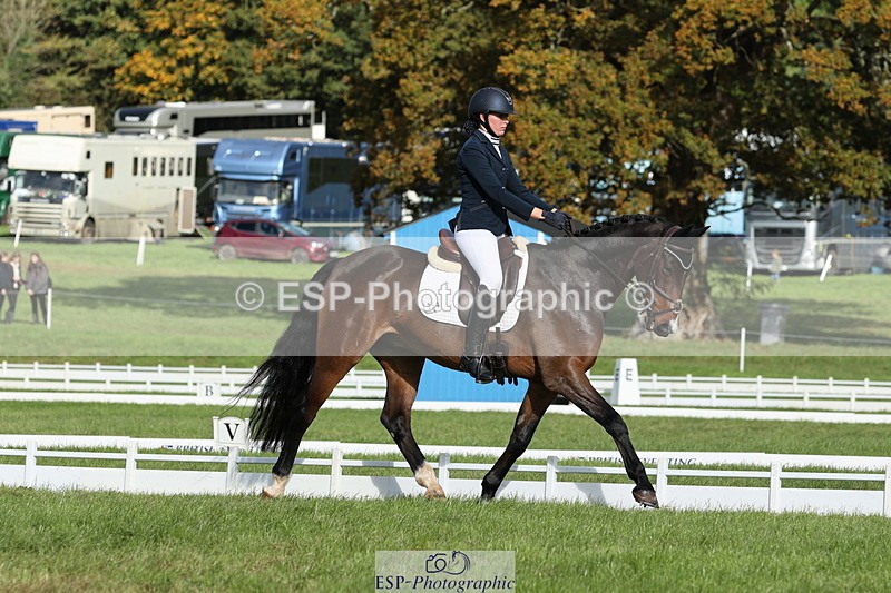 251024A-113924-10019 - D-354-Poppy.Burner