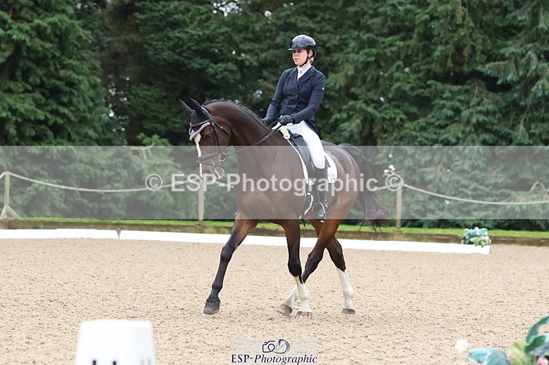 241024-090747-01220 - 202-Toots.Bartlett-C.WHY