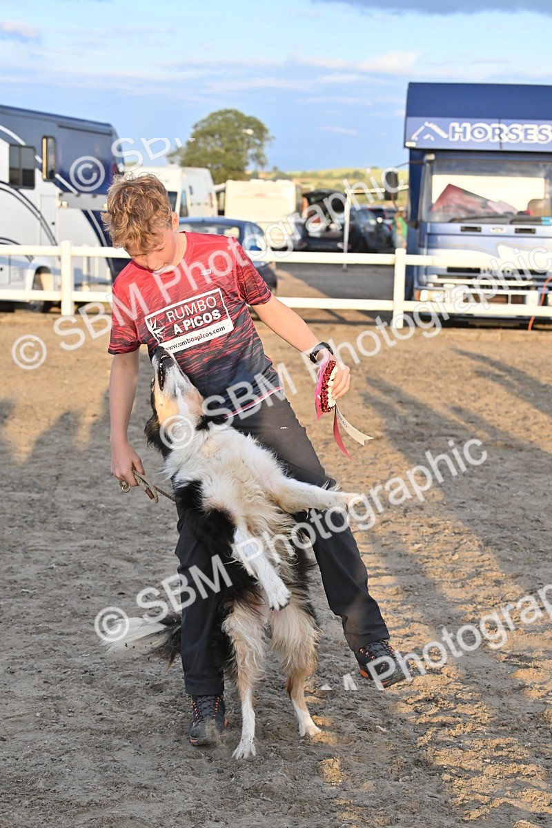 SBM_09718 - Lorry Dogs