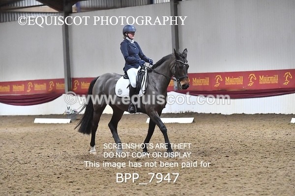 BPP_7947 - ELEM TEST 6