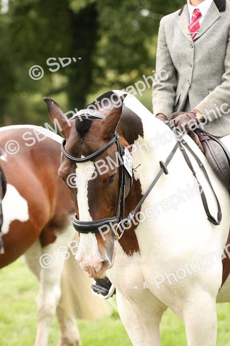 SBM_67286 - S67 - Piebald & Skewbald Horse Ridden