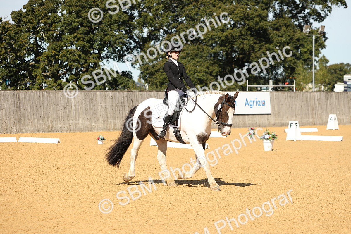 SBM_19791 - D10 - Small Tour Championship - Prelim 2