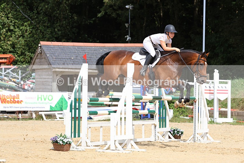 3E7A4316 - Class 8: Senior Foxhunter/1.20 open