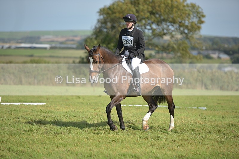 RAY_8017 - Class 2B: Trekenning Open: Dressage