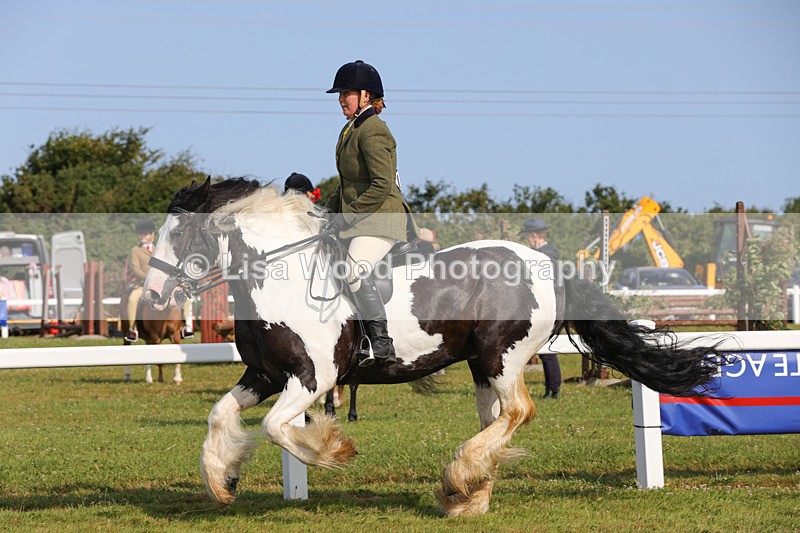 1X9A3295 - Class 28: Ridden Native/Trad Coloured Pony