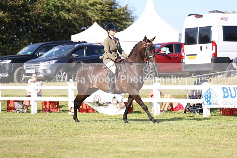 3E7A5572 - Class 2: Rising Star Large Hack/Riding Horse