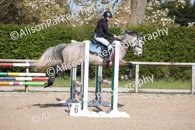 20250409-0710 - Class 4 - Pony British Novice