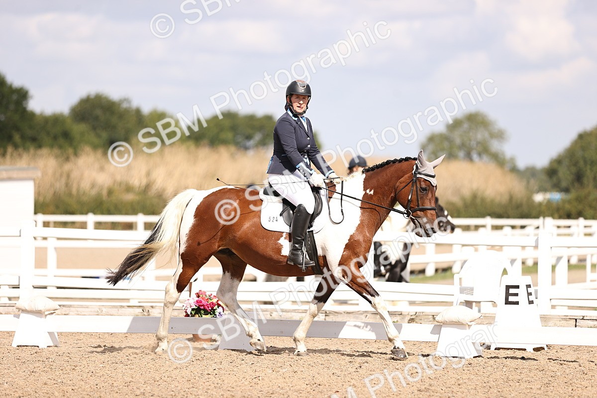 SBM_03727 - CLass 35 Intro 3