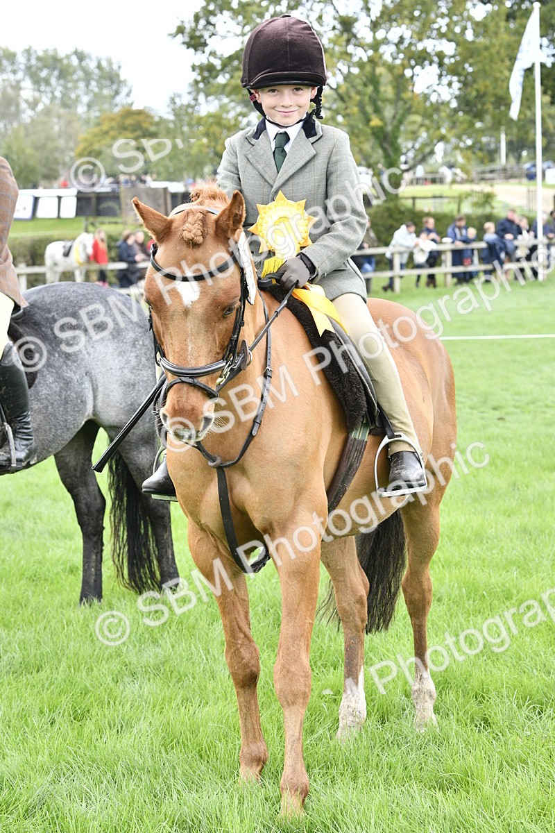 SBM_38288 - S31 - Novice & Newcomer Working Hunter Pony