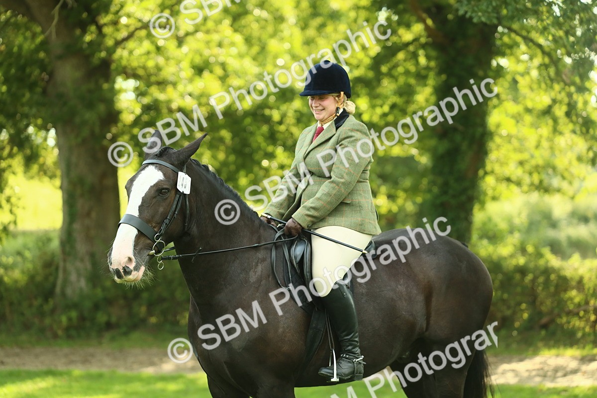 SBM_52171 - S33 - Working Hunter & Working Show Horse